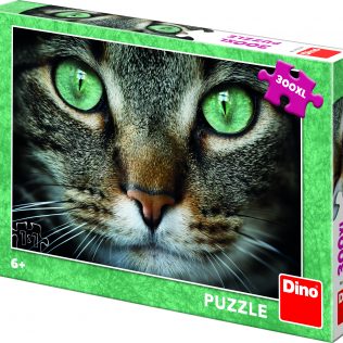 פאזל דיסני עיניים ירוקות