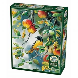 פאזל מתבונן