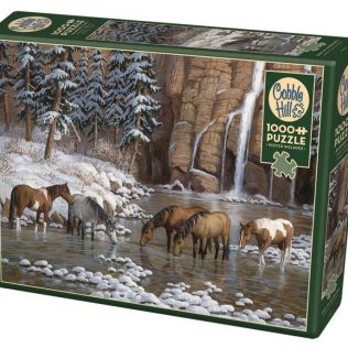 פאזל רוח הרוקי