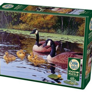 פאזל בריכת פלטס