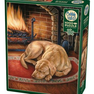 פאזל הבית הוא היכן שהכלב נמצא