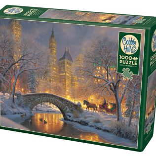 פאזל חורף בפארק