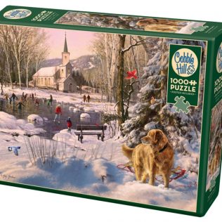 פאזל מסיבת החלקה