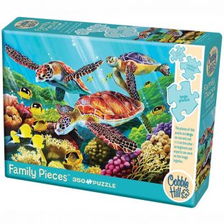 פאזל זרם מולוקיני