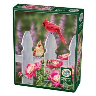 פאזל קרדינלים ואדמוניות